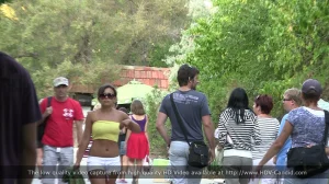 04-str-kok-12-04-smp-1