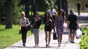 11-smp-str-kvv-11-06-04